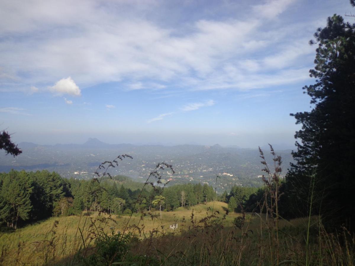 Nisha homestay inn Peradeniya Luaran gambar